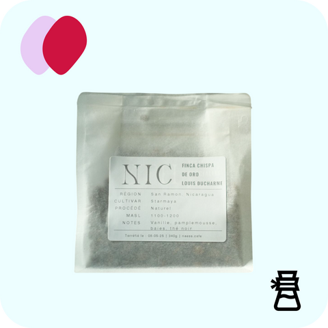Naess - Nicaragua Chipsa de Oro