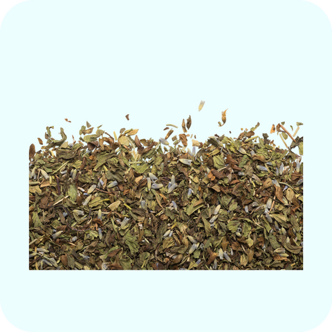 Camellia Sinensis - Organic Provençal Herbal Tea