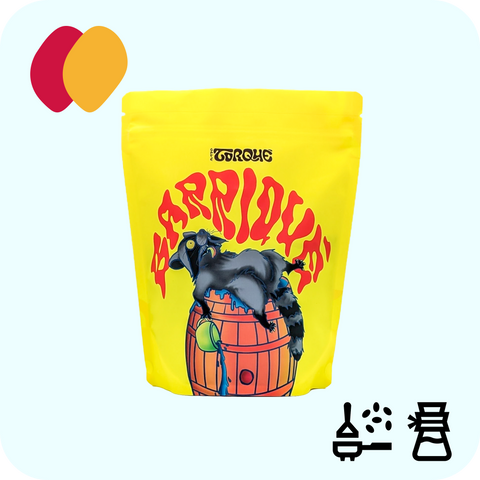 TorQué - Barriqué - Pousse l'ananas