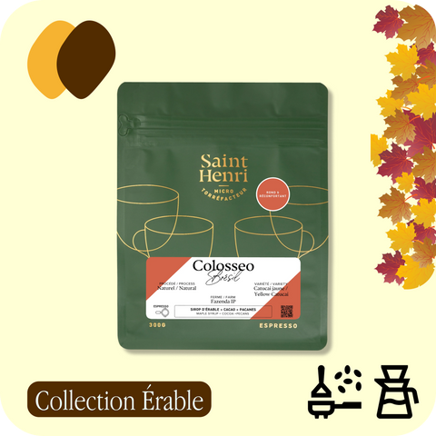 Saint-Henri - Colosseo