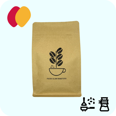Ficus Club Roasters - Tico