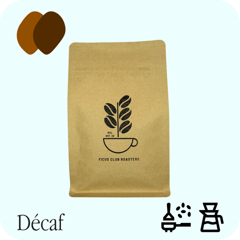 Ficus Club Roasters - Güey