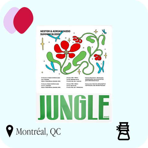 Jungle - Adrian & Nestor Lasso Summer Bloom