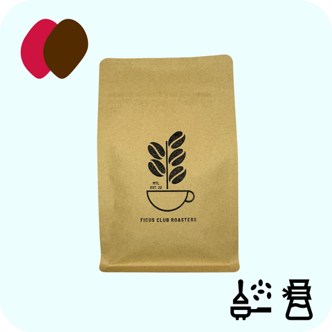 Ficus Club Roasters - Chapin