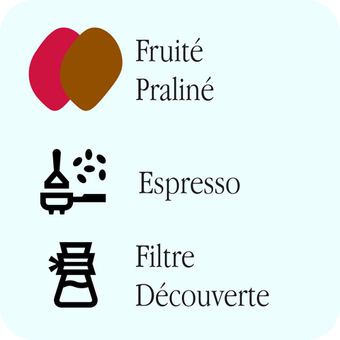 Bernard Street Coffee - Belicoso Blend