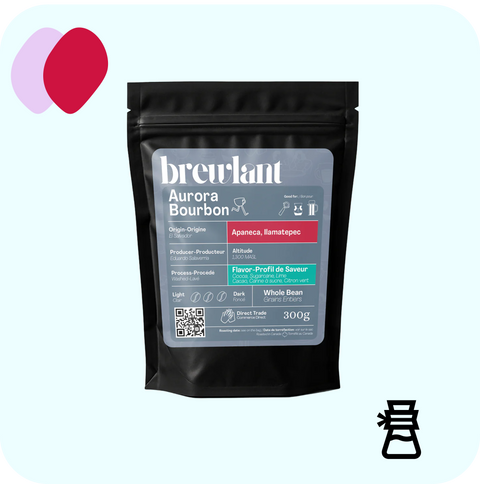 Brewlant -  Aurora