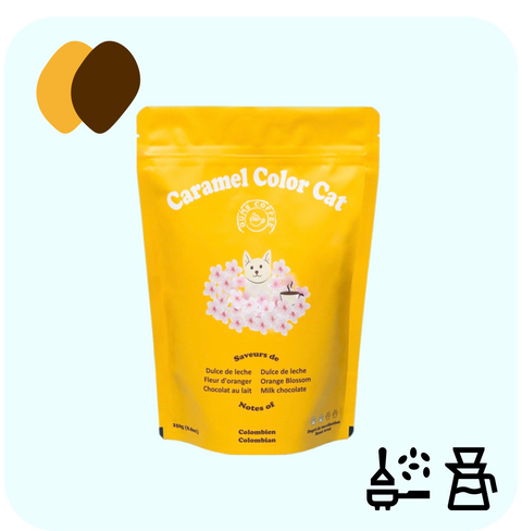 Dums - Caramel Color Cat