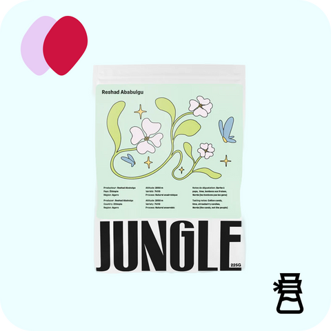 Jungle - Reshad Ababulgu