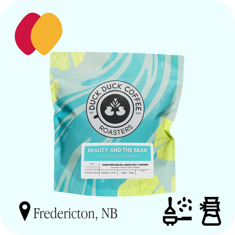 Duck Duck Coffee - Beauty and the Beak