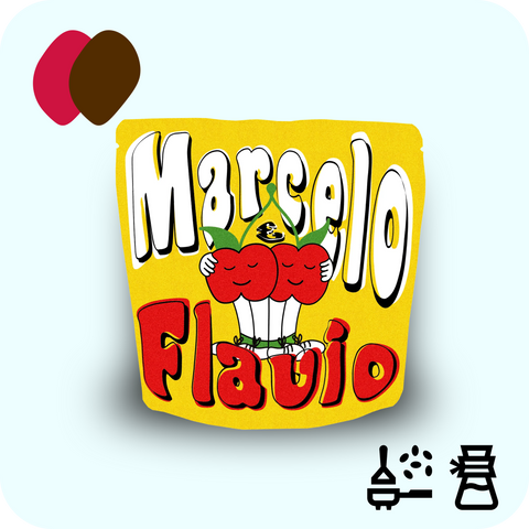 Traffic - Marcelo Assis Nogueira