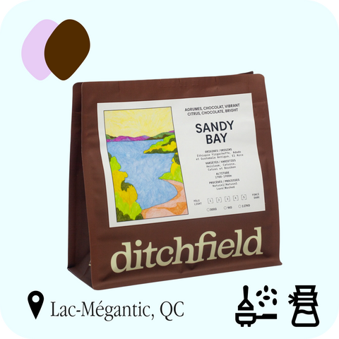 Ditchfield - Sandy Bay
