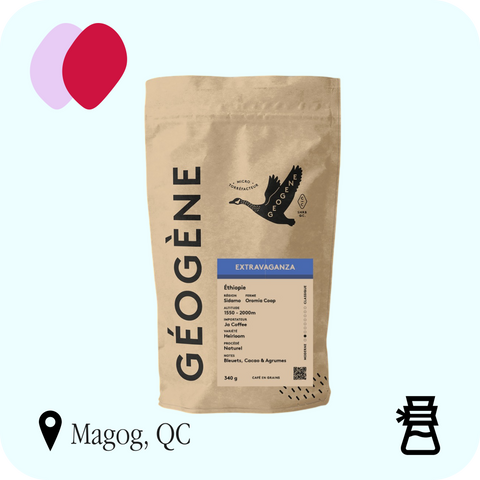 Geogene - Extravaganza