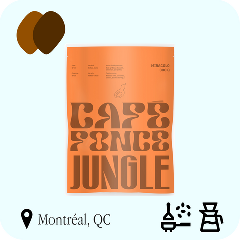 Jungle - Miracolo