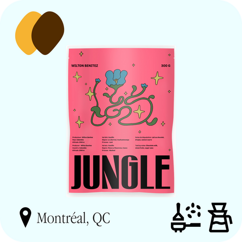 Jungle - Wilton Benitez