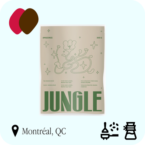 Jungle - Amazonie