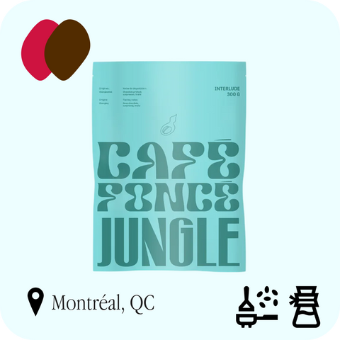 Jungle - Interlude
