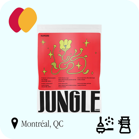 Jungle - Humure