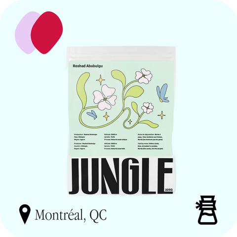 Jungle - Reshad Ababulgu