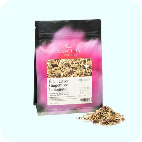 Camellia Sinensis - Tisane citron gingembre