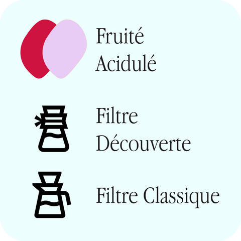 Légende : profils Fruité et Acidulé, recommandations Filtre découverte et Filtre classique
