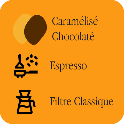 Profils Caramélisé et Chocolaté — recommandé pour Espresso et Filtre classique