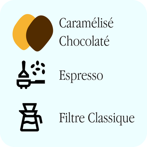 Cascara - Guatemala