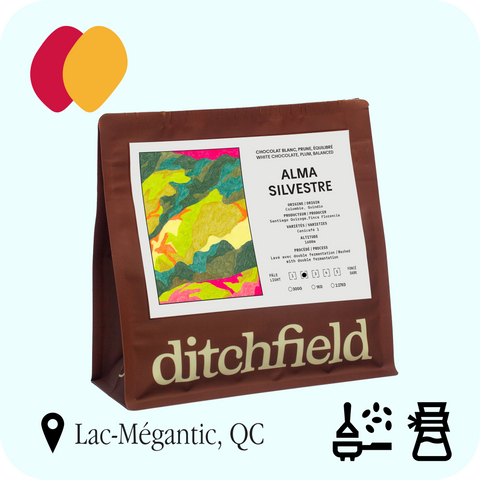 Ditchfield - Alma Silvestre, Colombie — sac de café 300 g, torréfié à Lac-Mégantic