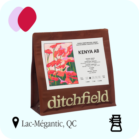Ditchfield - Kenya AB — sac de café 300 g, torréfié à Lac-Mégantic
