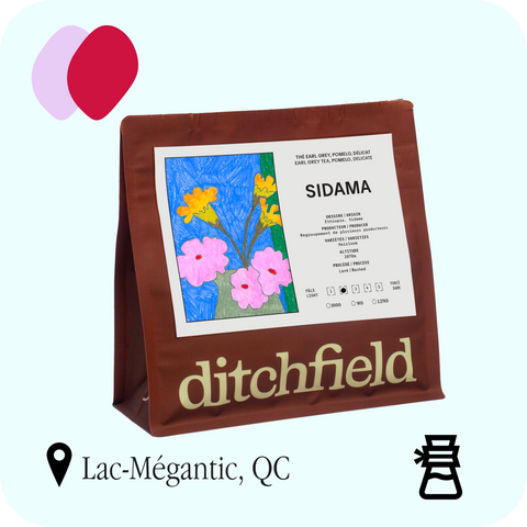 Ditchfield - Sidama, Éthiopie — sac de café 300 g, torréfié à Lac-Mégantic