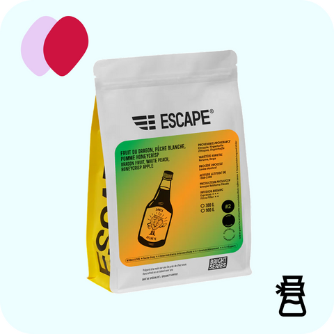 Escape - Sauce secrète lavé #2