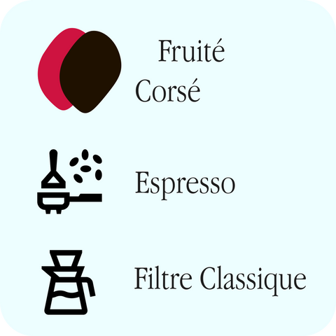 Arbre à Café - Le Merlot