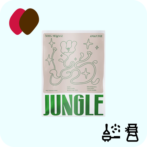 Jungle - Amazonie