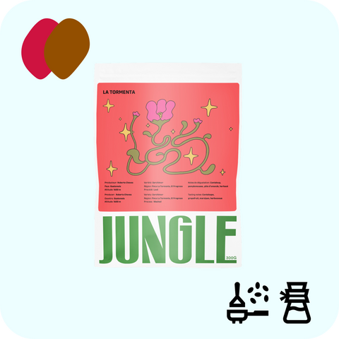 Jungle - La tormenta