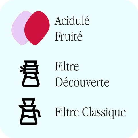 Légende Jungle - Bavyeyi : profils Acidulé et Fruité, recommandations Filtre découverte et Filtre classique