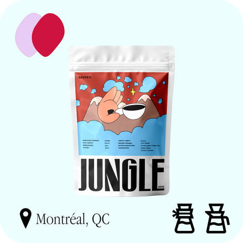 Jungle - Bavyeyi : sac de café 225 g, profils acidulé et fruité, recommandé en filtre découverte et en filtre classique, torréfié à Montréal