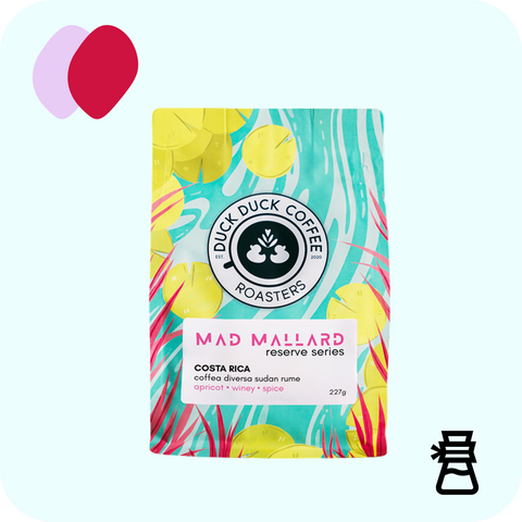 Duck Duck Coffee - Mad Mallard