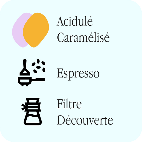 Café Mosa - Caturra