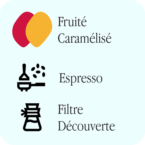Pista - Colectivo - Luis Marino Ortega — profils Fruité et Caramélisé, recommandé en espresso et filtre découverte
