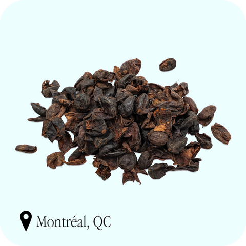 TorQué - Cascara : fruit du caféier déshydraté à infuser, TorQué, Montréal, QC
