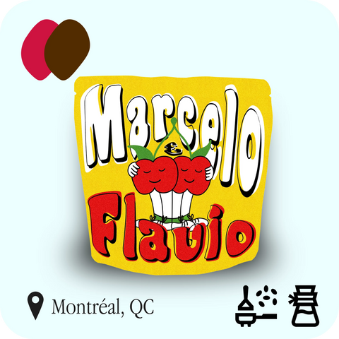 Traffic – Marcelo Assis Nogueira, café torréfié à Montréal, QC