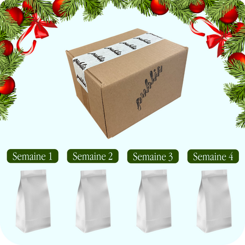 Calendrier de l'Avent - PRÉVENTE