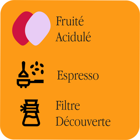 Légende : profils Fruité et Acidulé, recommandations Espresso et Filtre découverte