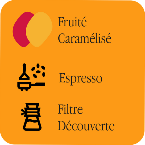 Légende : profils Fruité et Caramélisé, recommandations Espresso et Filtre découverte